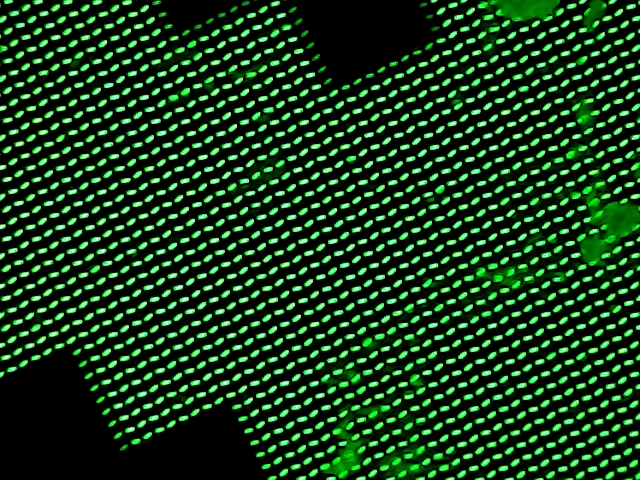 Pantalla de Celular
